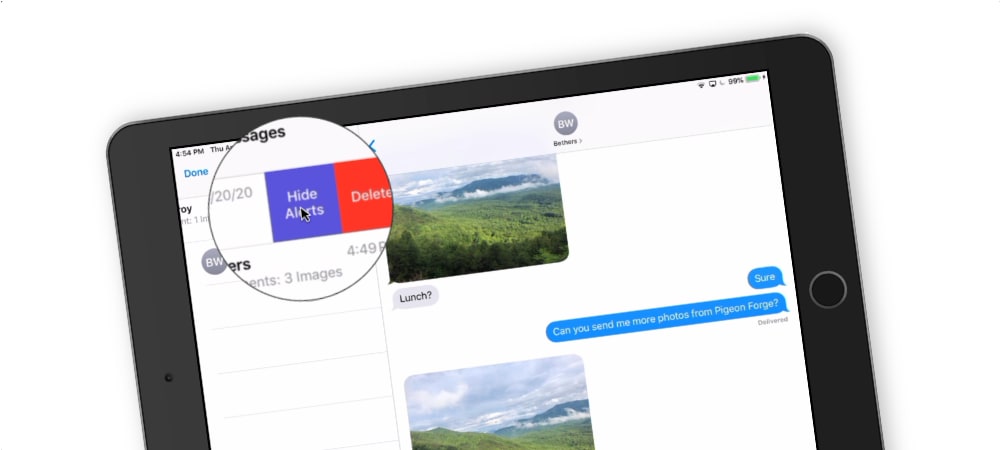 Hide alerts in Messages on the iPad