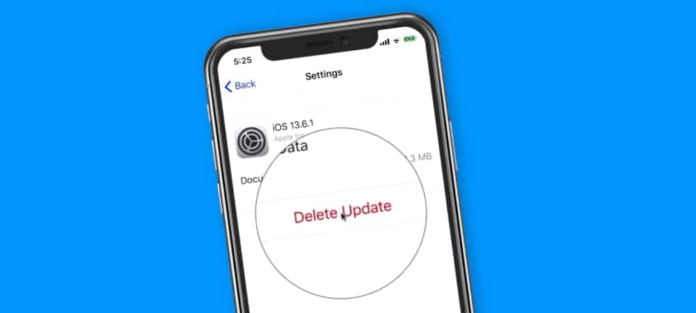 Delete an iPhone iOS Update