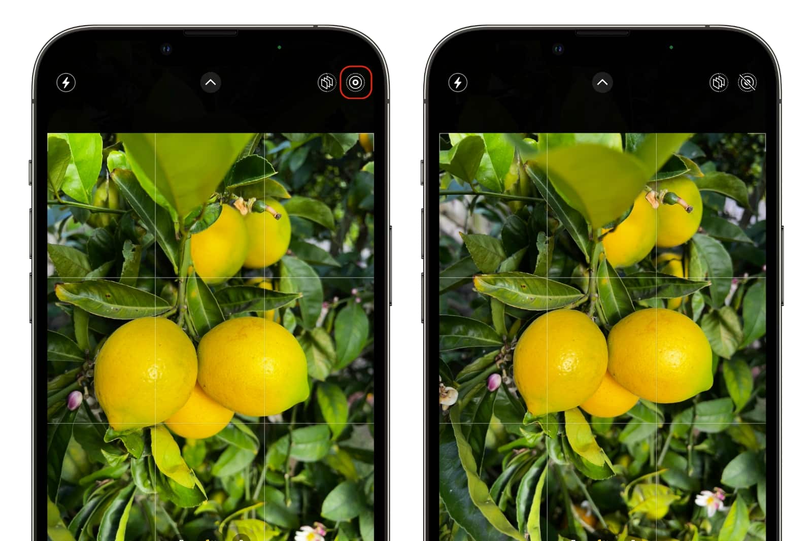 how-to-disable-live-photos-on-your-iphone-or-ipad-dans-tutorials