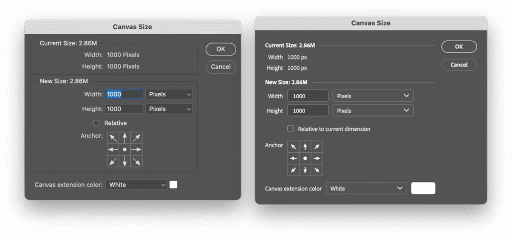 Two side-by-side Canvas Size dialogs in a UI mockup, showing current size 1000×1000 and fields to enter a new size with OK/Cancel buttons on the right surface.