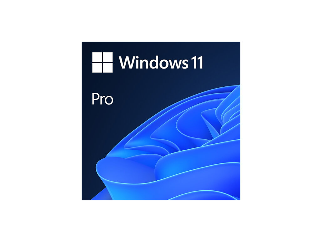 Windows 11 Pro product logo on a dark blue background.